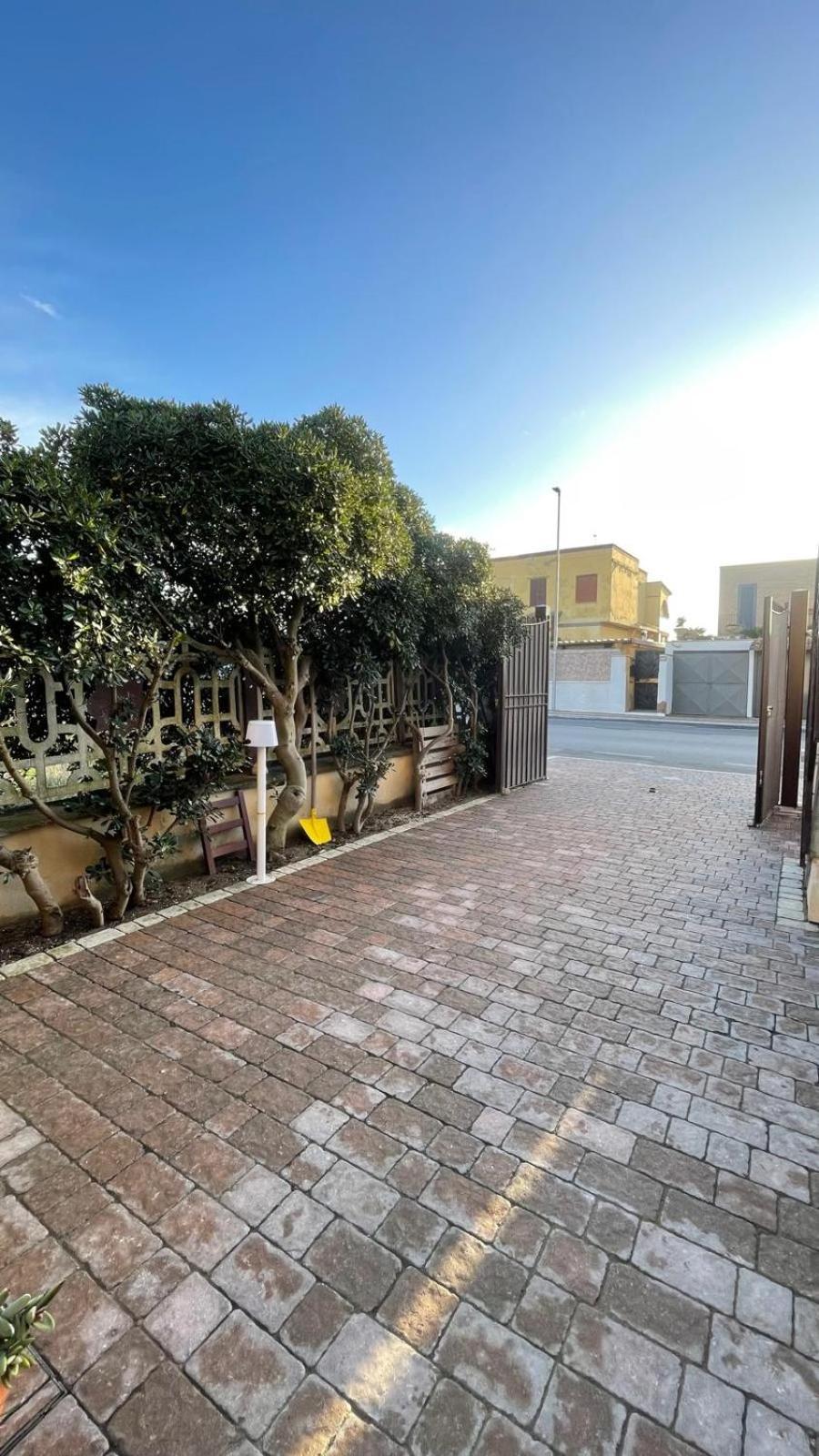 הוילה Koru House טורביאניקה מראה חיצוני תמונה